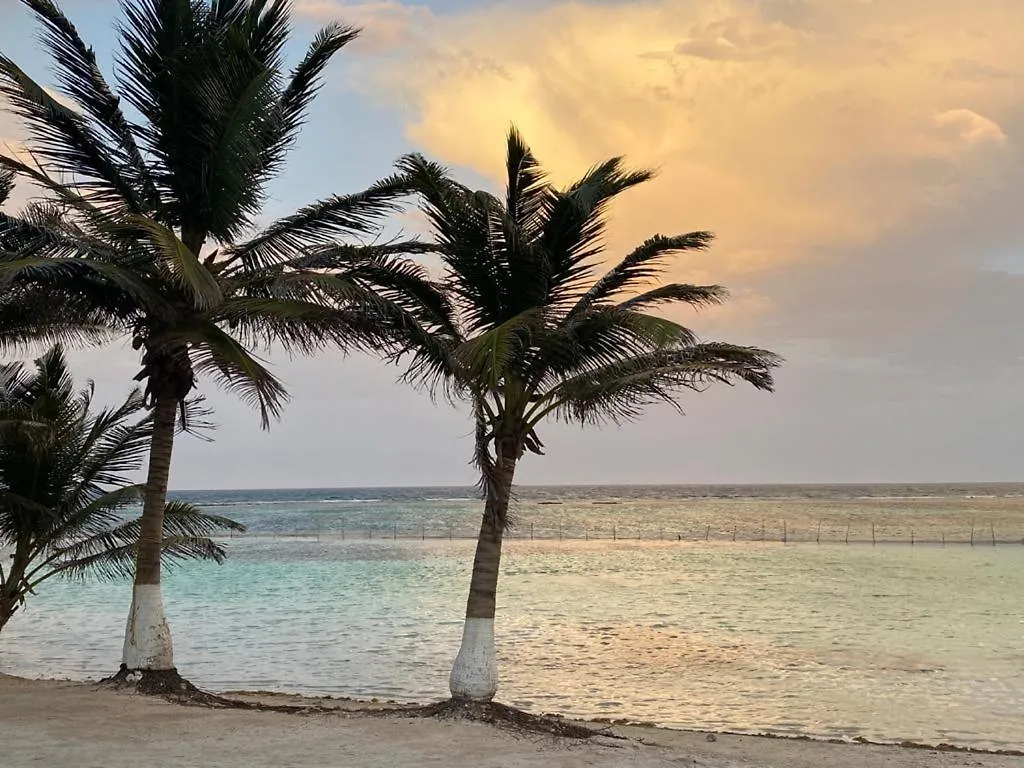 Hotel Blue Reef Frente Al Mar Mahahual