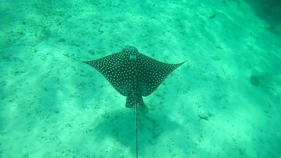 Hotel Blue Reef Frente Al Mar Mahahual 3*,  Mexiko